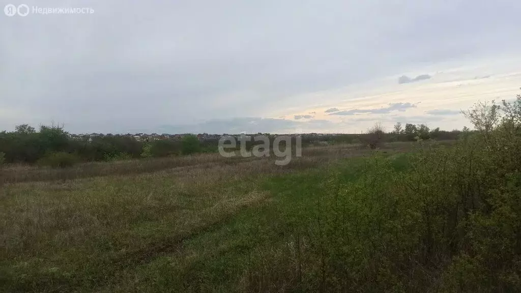 Участок в Ериковское сельское поселение, садоводческое товарищество ... - Фото 1