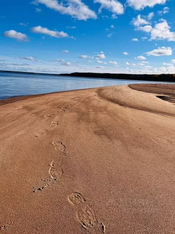 Дом в Ленинградская область, Выборгский район, Приморское городское ... - Фото 0