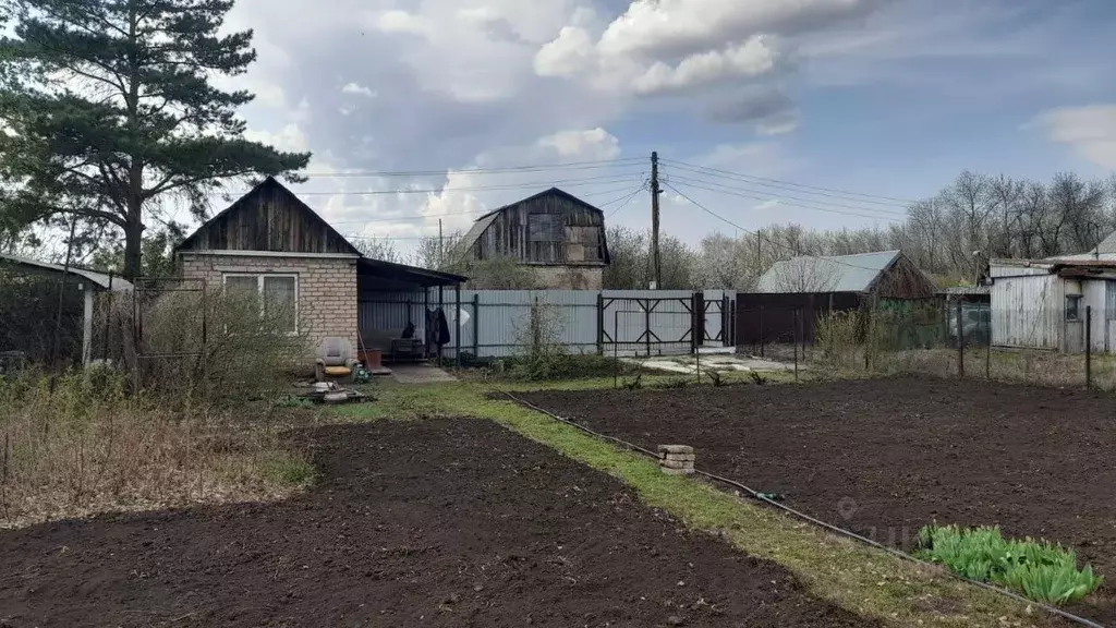 Участок в Оренбургская область, Оренбургский район, Нежинский ... - Фото 0