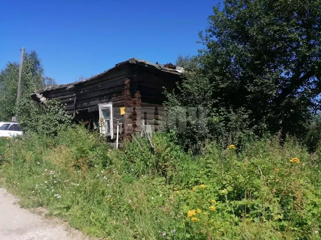 Участок в Вологодская область, Сокольский муниципальный округ, д. ... - Фото 1