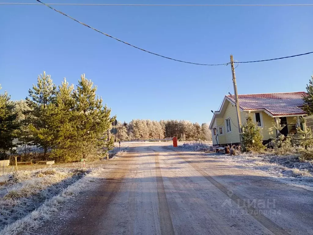 Участок в Ленинградская область, Выборгский район, Рощинское городское ... - Фото 0