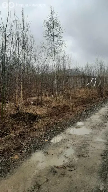Участок в Мичуринское сельское поселение, село Виноградовка, Юбилейная ... - Фото 0