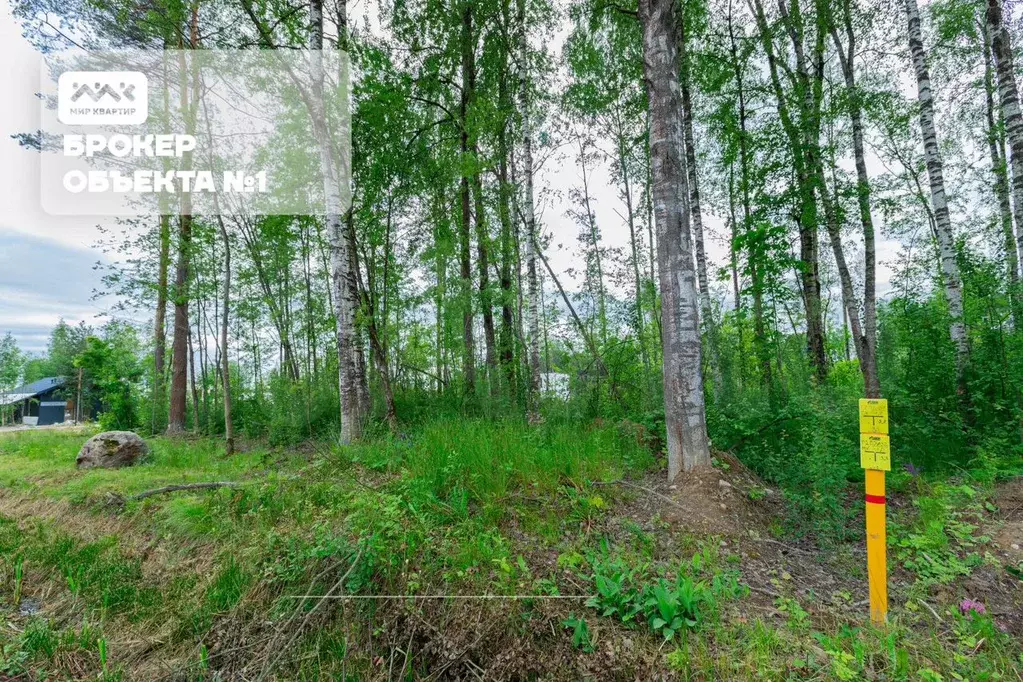 Участок 11 сот. (СНТ, ДНП) - Фото 0