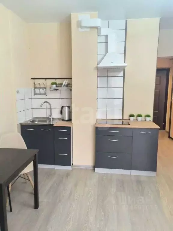 Студия Новосибирская область, Новосибирск ул. Романова, 60/1 (25.0 м) - Фото 2