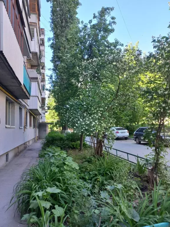 3-к кв. Саратовская область, Саратов ул. Имени В.М. Азина, 21 (58.0 м) - Фото 0