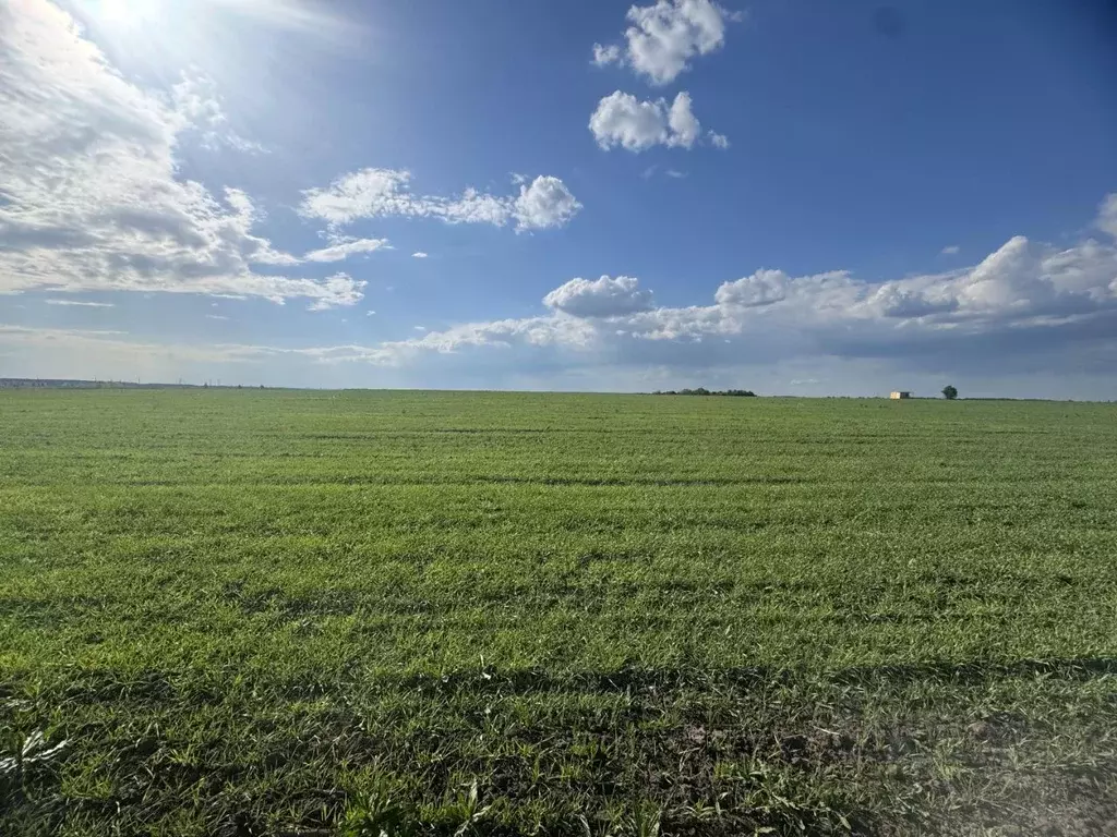 Участок в Курская область, Курский район, Клюквинский сельсовет, д. ... - Фото 1