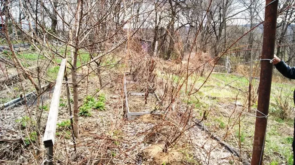 Дом в Хабаровский край, Хабаровский район, Свинопром СНТ  (15 м) - Фото 2