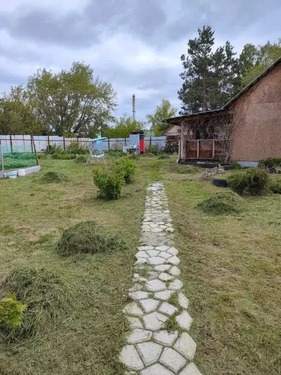 Дом в Курганская область, Щучанский муниципальный округ, с. Чистое ул. ... - Фото 1