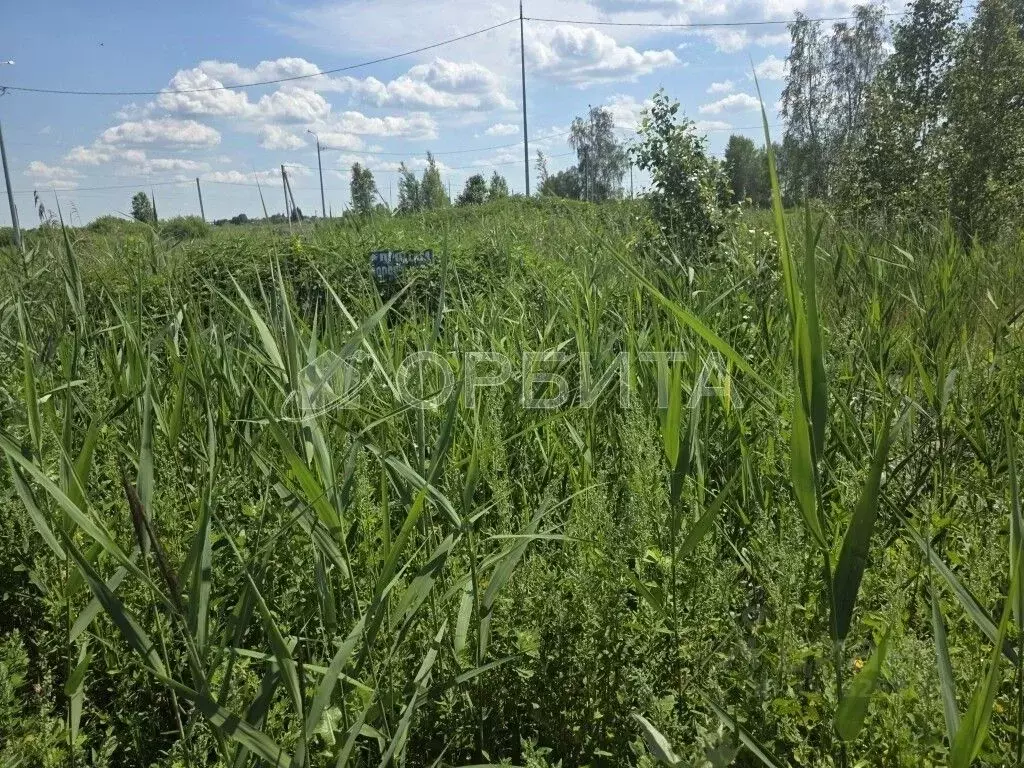 Участок в Тюменская область, Тюменский муниципальный округ, д. Якуши, ... - Фото 1