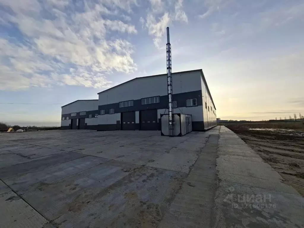 Производственное помещение в Московская область, Домодедово городской ... - Фото 1