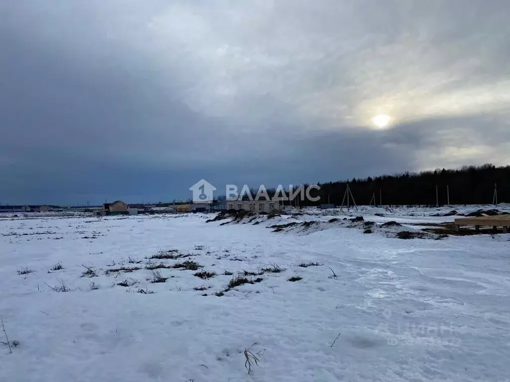 Участок в Ленинградская область, Ломоносовский район, Русско-Высоцкое ... - Фото 1