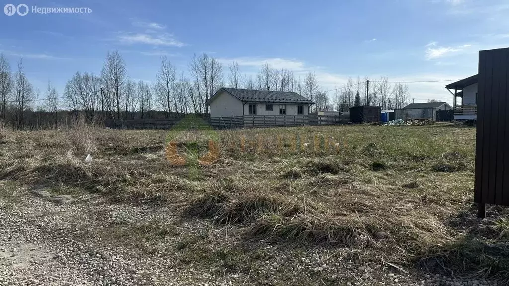 Участок в деревня Заборье, квартал Сержанта Шолева (9.01 м) - Фото 1