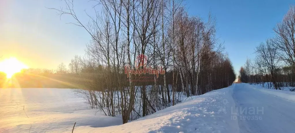 Участок в Владимирская область, Александровский район, Каринское ... - Фото 1