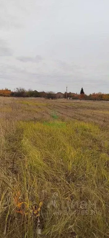 Участок в Белгородская область, Белгородский район, Тавровское с/пос, ... - Фото 1