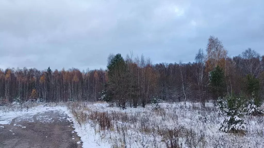 Участок в Московская область, Ступино Знаменская ул. (9.5 сот.) - Фото 0