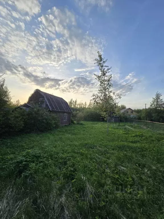 Участок в Московская область, Клин городской округ, Сигнал СНТ  (10.9 ... - Фото 0