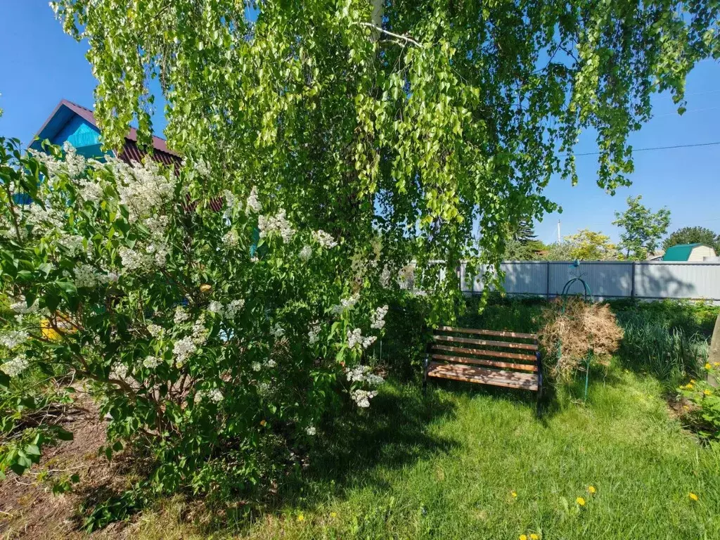 Дом в Новосибирская область, Новосибирский район, Толмачевский ... - Фото 1