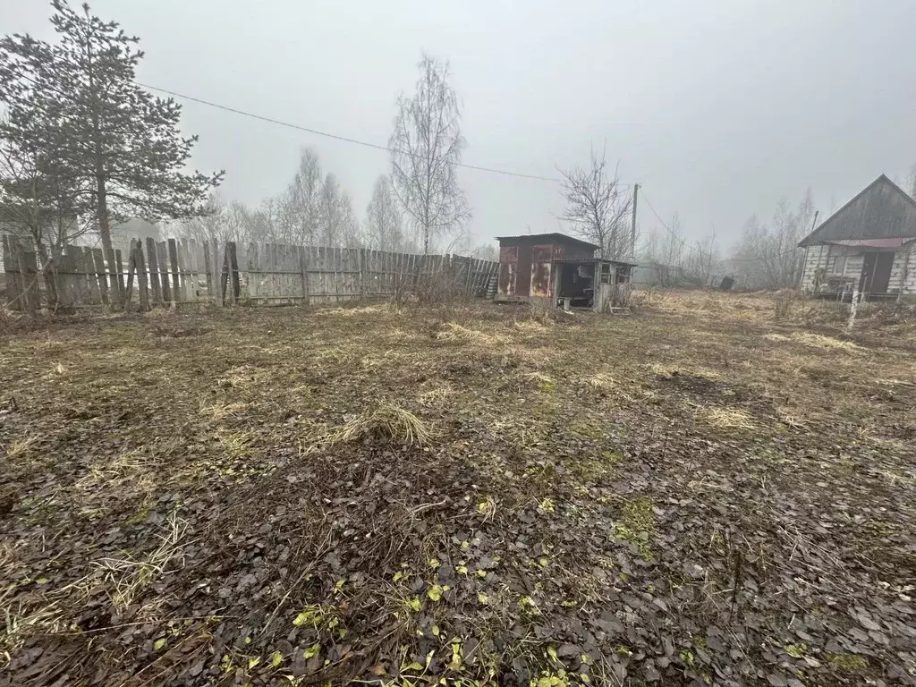 Участок в Брянская область, Брянский район, Супоневское с/пос, Рассвет ... - Фото 1