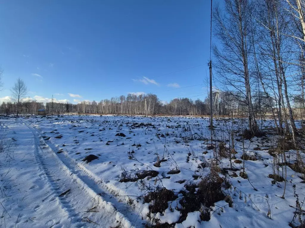Участок в Омская область, Омский район, Пушкинское с/пос, д. Ракитинка ... - Фото 2