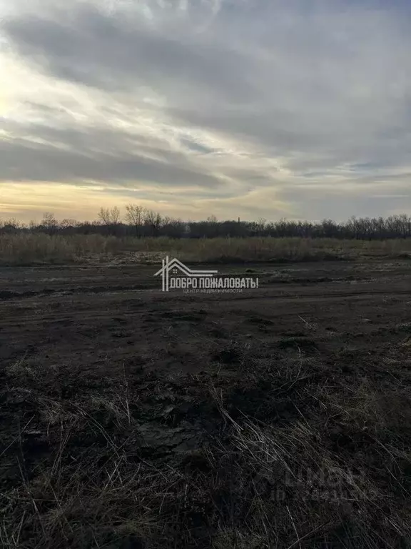Участок в Хакасия, Усть-Абаканский район, пос. Расцвет ул. Космонавтов ... - Фото 2