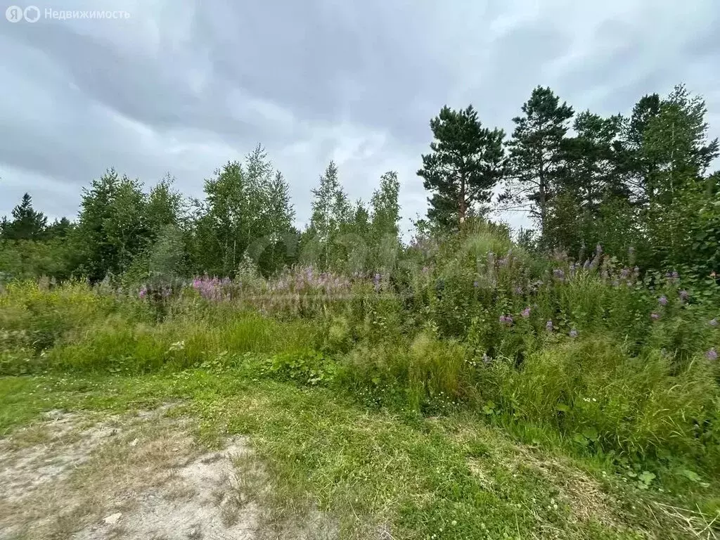 Участок в Тюменский район, посёлок Андреевский (20 м) - Фото 1