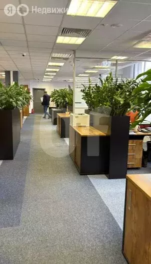 Офис (1045 м) - Фото 2