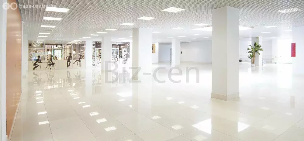 Офис (32.5 м) - Фото 1