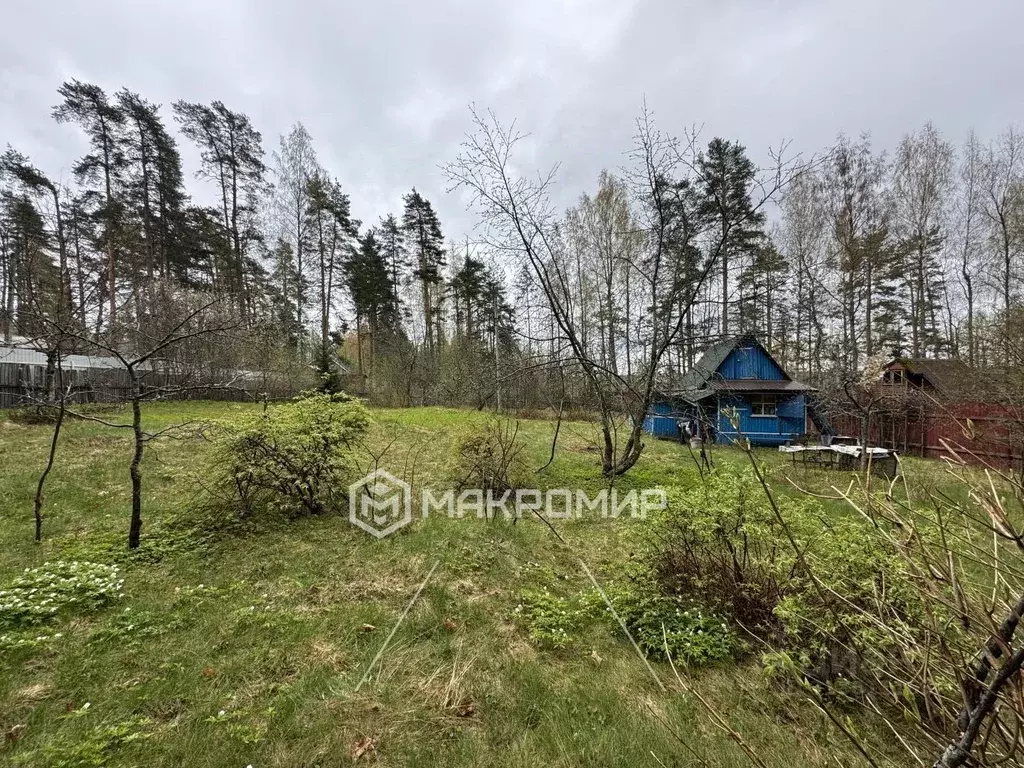 Участок в Ленинградская область, Приозерский район, пос. Мичуринское ... - Фото 1