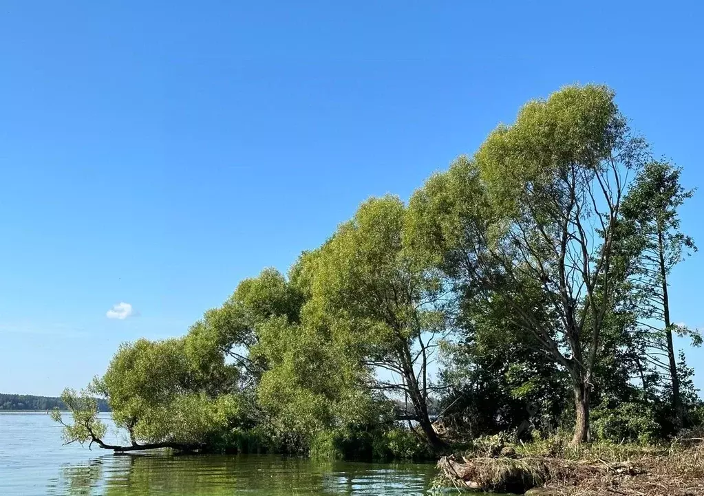 Дом в Тверская область, Кашинский муниципальный округ, д. Волжанка  ... - Фото 1