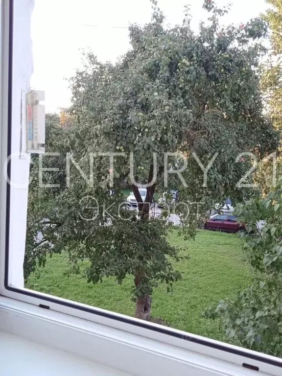 3-к кв. Калининградская область, Калининград ул. Маршала Борзова, 10 ... - Фото 0