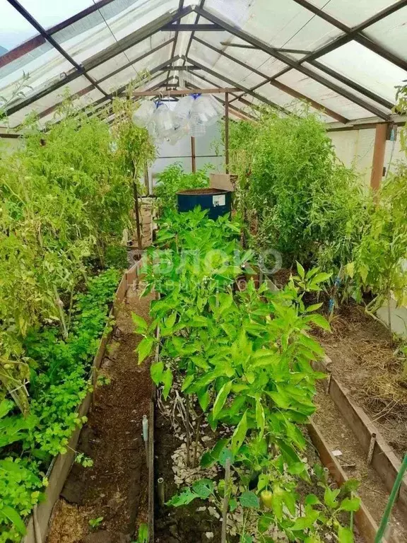 Дом в Пермский край, Березники № 43 СНТ, 41 (10 м) - Фото 0