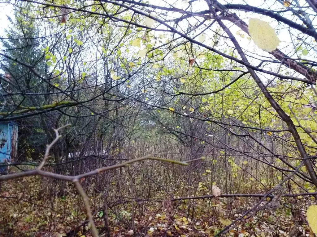 Участок в Московская область, Подольск городской округ, д. Потапово  ... - Фото 2