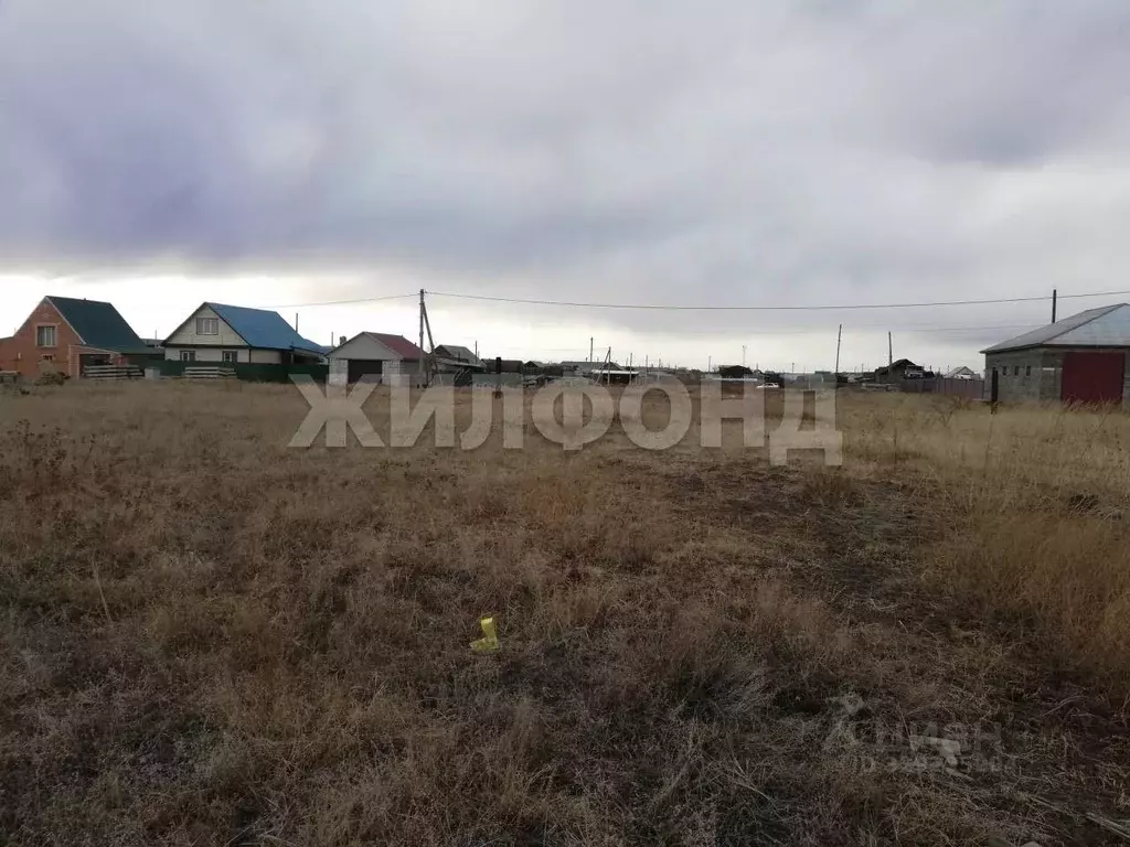 Участок в Забайкальский край, Борзя Кольцевая ул. (9.0 сот.) - Фото 2