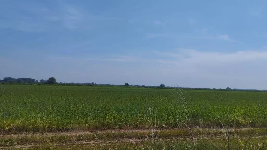 Участок в Московская область, Воскресенск Воскресенская ул. (21500.0 ... - Фото 0