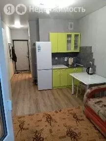 Квартира-студия: территория Цемдолина, улица Красина, 53 (20 м) - Фото 1