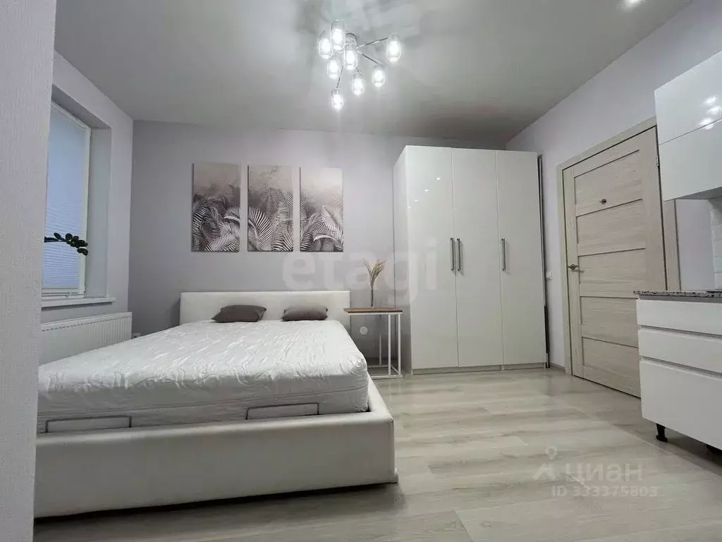 Студия Санкт-Петербург Кузнецовская ул., 58к1 (26.8 м) - Фото 1