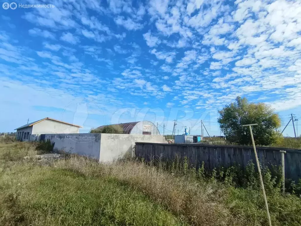 Участок в Тюменский муниципальный округ, село Ембаево (8 м) - Фото 0