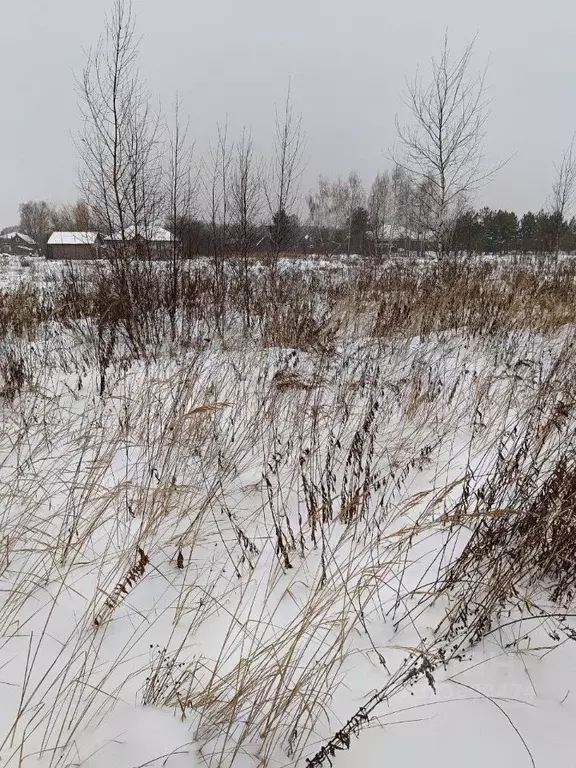 Участок в Московская область, Павлово-Посадский городской округ, д. ... - Фото 0