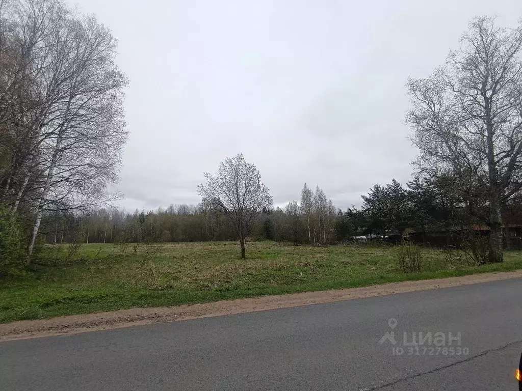 Участок в Новгородская область, Новгородский район, Савинское с/пос, ... - Фото 0