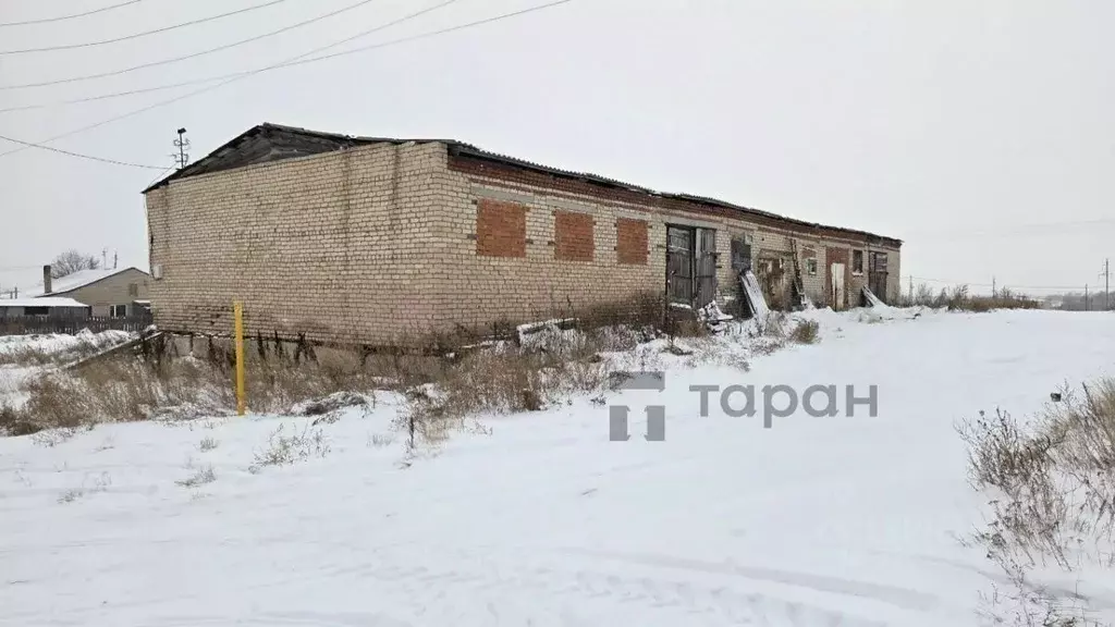 Склад в Челябинская область, с. Уйское ул. Дальняя (361 м) - Фото 1