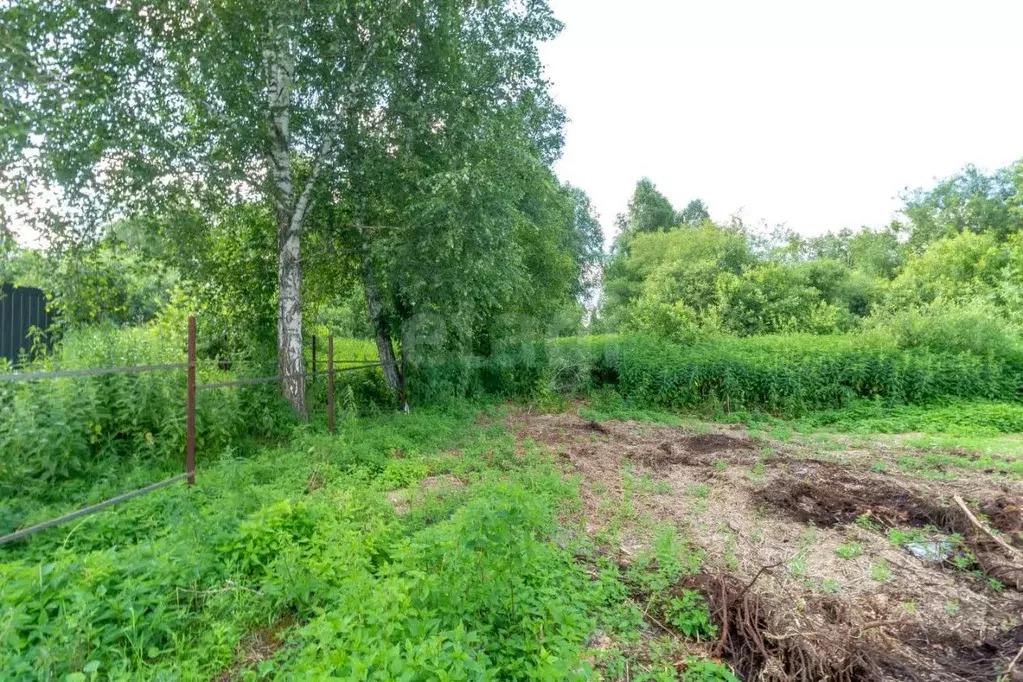 Участок в Тюменская область, Нижнетавдинский муниципальный округ, ... - Фото 1