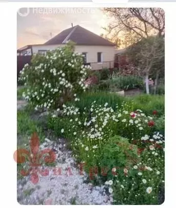 Дом в Белгородская область, Яковлевский муниципальный округ, село ... - Фото 1