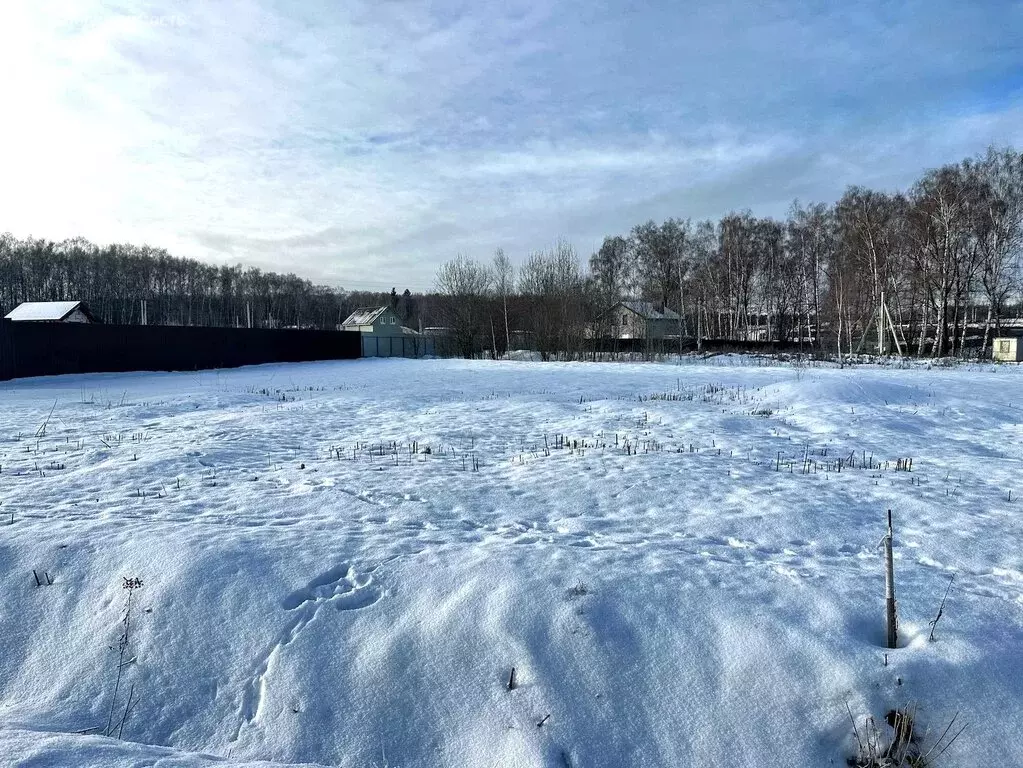 Участок в Московская область, городской округ Домодедово, село ... - Фото 0