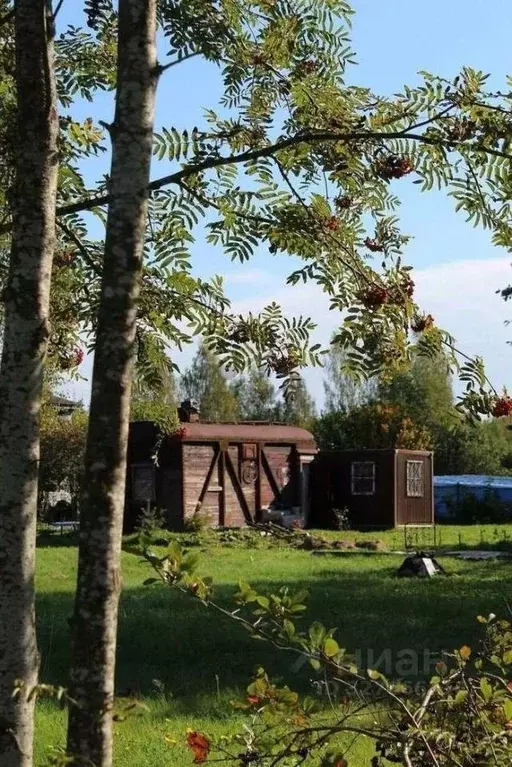 Участок в Новгородская область, Маловишерское городское поселение, д. ... - Фото 2