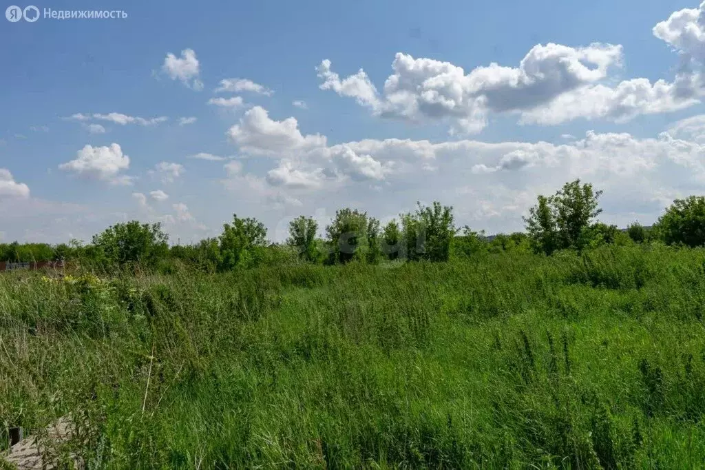 Участок в Тукаевский район, Малошильнинское сельское поселение, ДНП УК ... - Фото 2
