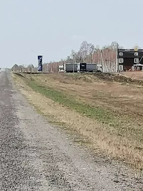 Участок в Курганская область, Кетовский муниципальный округ, с. ... - Фото 1