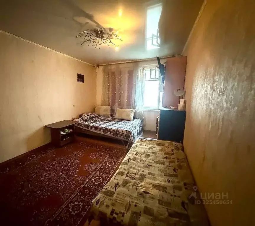 1-к кв. Челябинская область, Челябинск ул. Мамина, 25а (34.3 м) - Фото 1