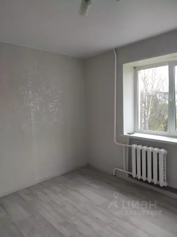 Студия Новгородская область, Великий Новгород ул. Попова, 6к2 (17.4 м) - Фото 2