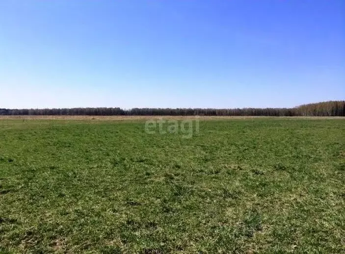 Участок в Волгоградская область, Городище рп ул. Имени Левитана, 17 ... - Фото 1