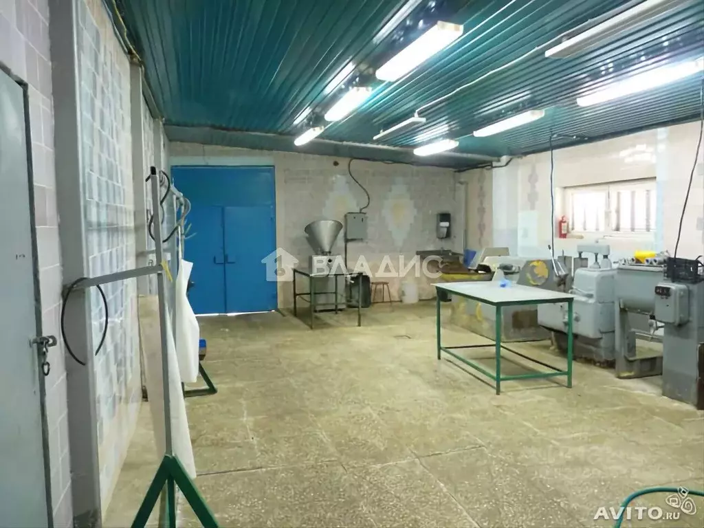 Производственное помещение в Белгородская область, Ивнянский район, с. ... - Фото 1